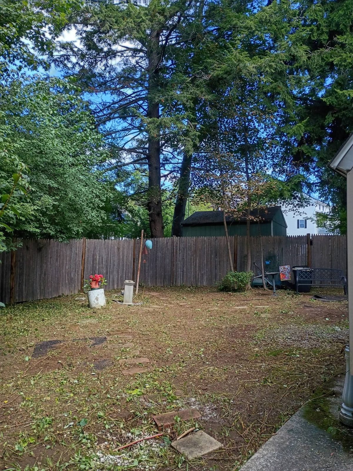 Backyard cleared down to the fence