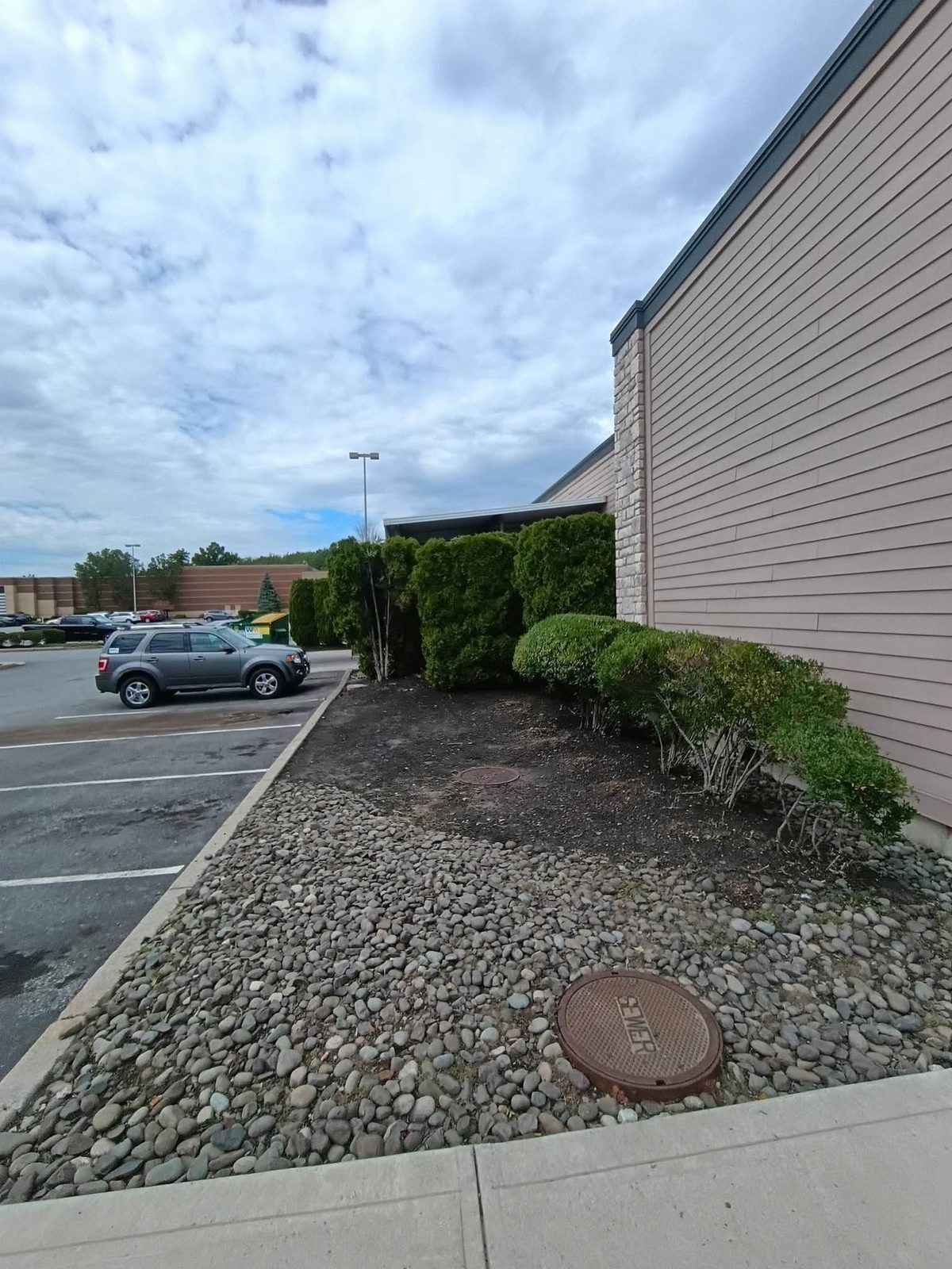 After: the same bed cleaned up into a river-rock bed with trimmed shrubs