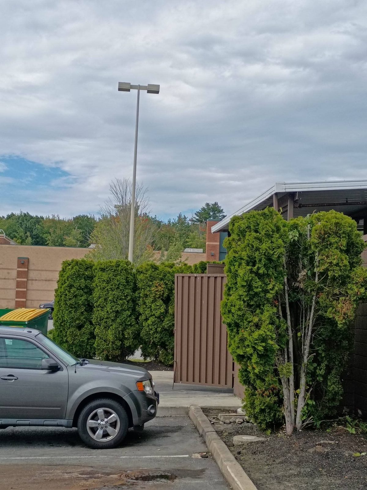 Before: overgrown shrub bed beside a parking lot