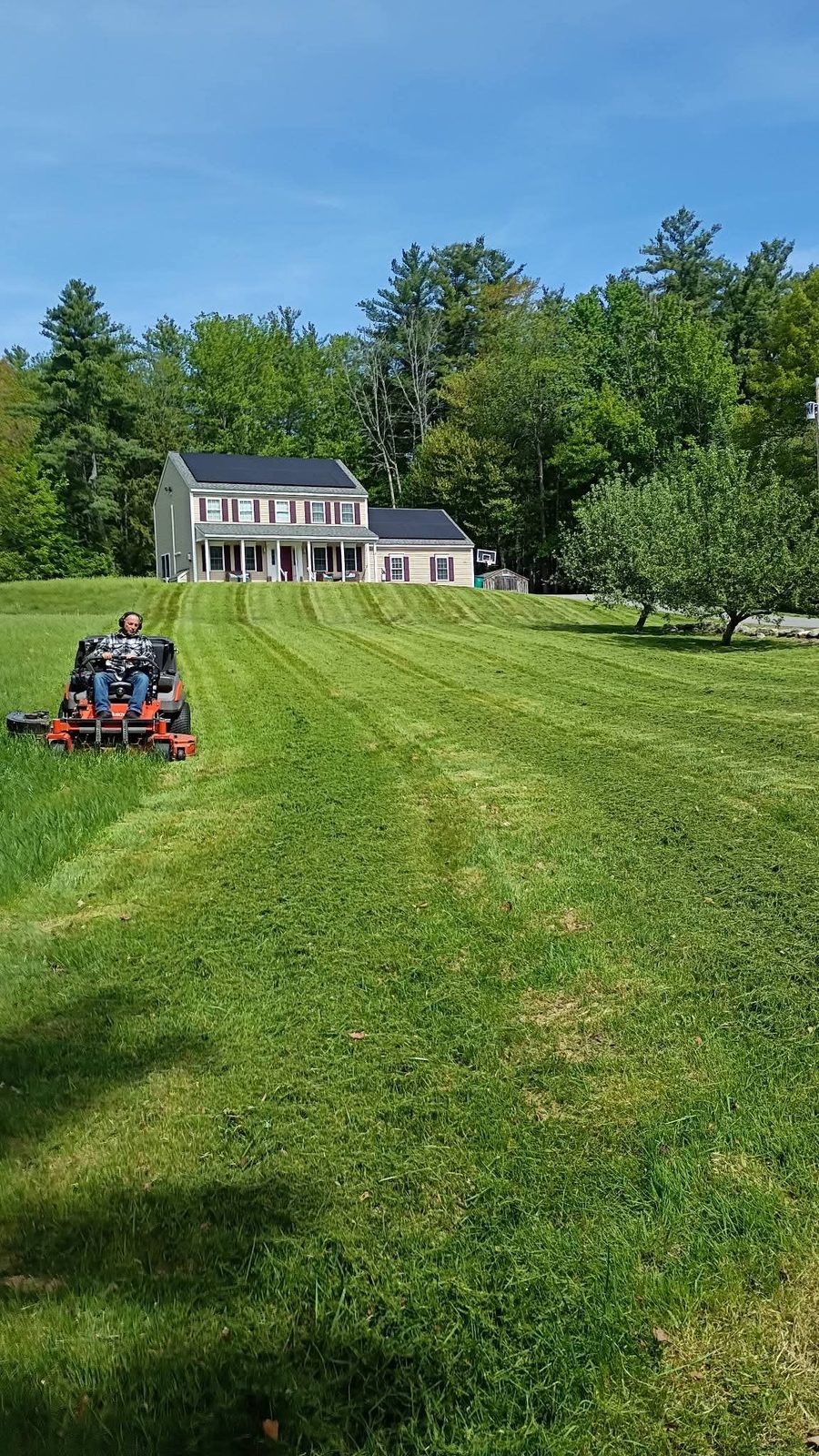 Big lawn being striped by an orange zero-turn mower