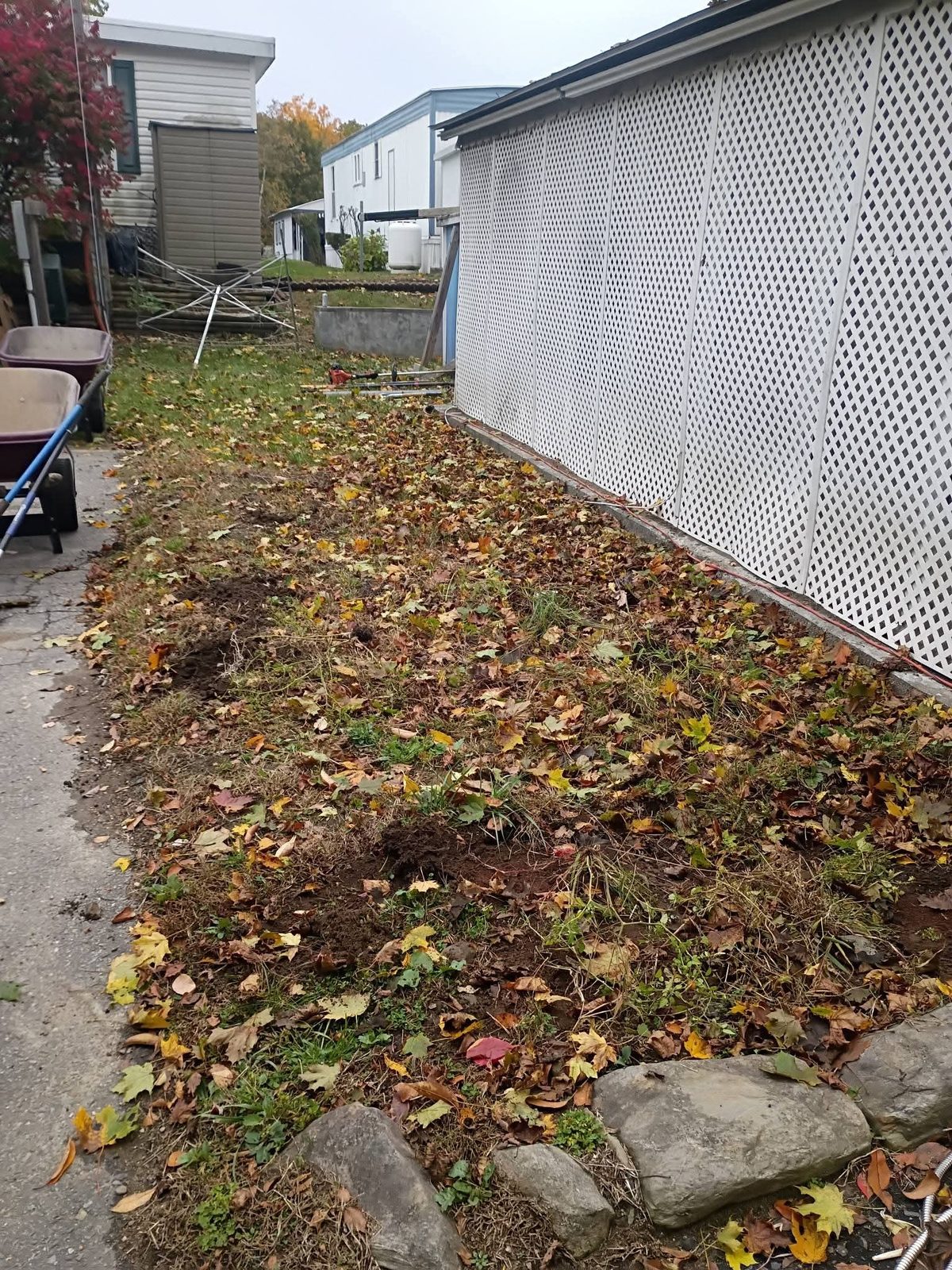 Before: weedy, leaf-covered strip along a white lattice fence