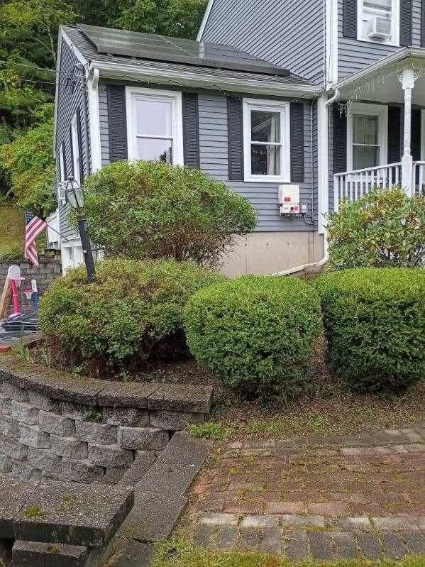 Freshly trimmed round shrubs along a gray house