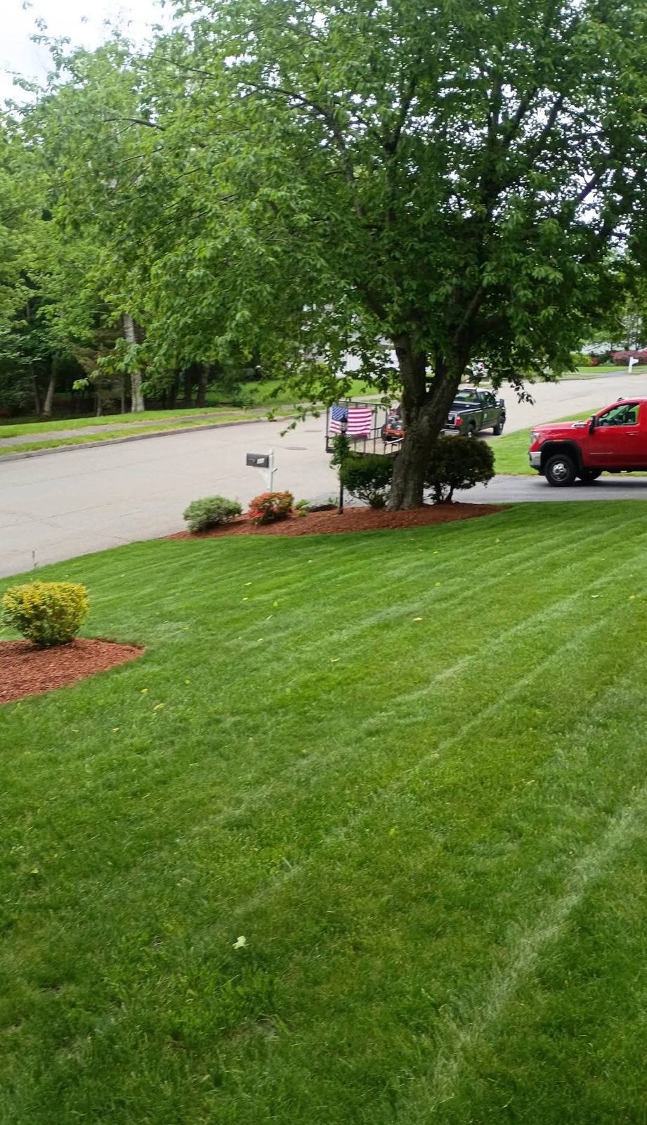 Freshly striped front lawn